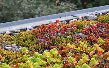 the cost of Johnstone green roof installation