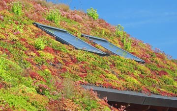 Johnstone living roof systems