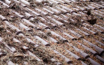 Johnstone roof cleaning companies