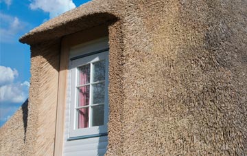 Johnstone thatch roof disadvantages