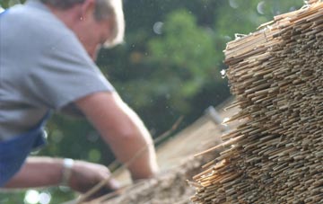 professional Johnstone thatchers