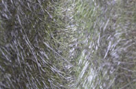 Johnstone fibreglass roof work