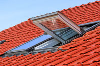 Johnstone roof window